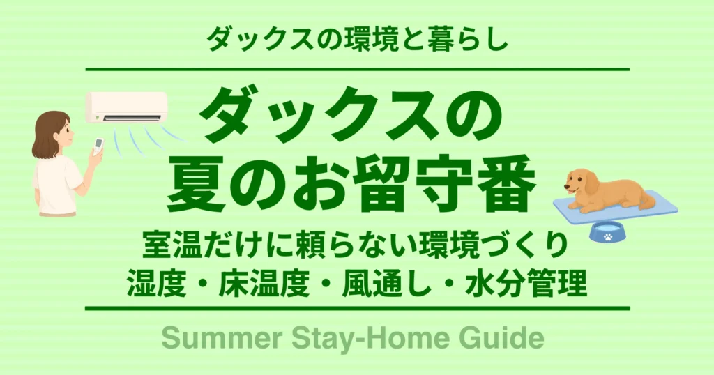 ダックスの夏のお留守番