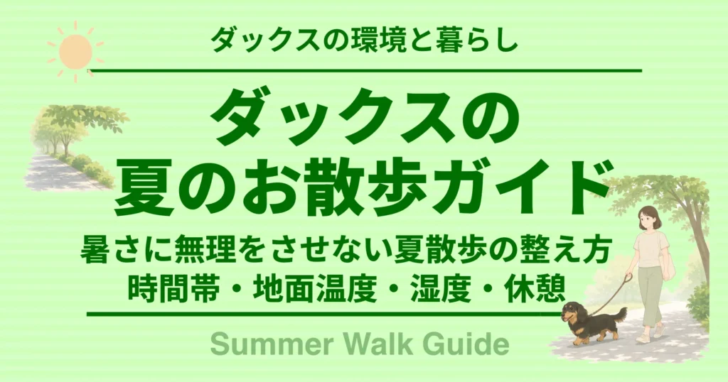 ダックスの夏のお散歩ガイド