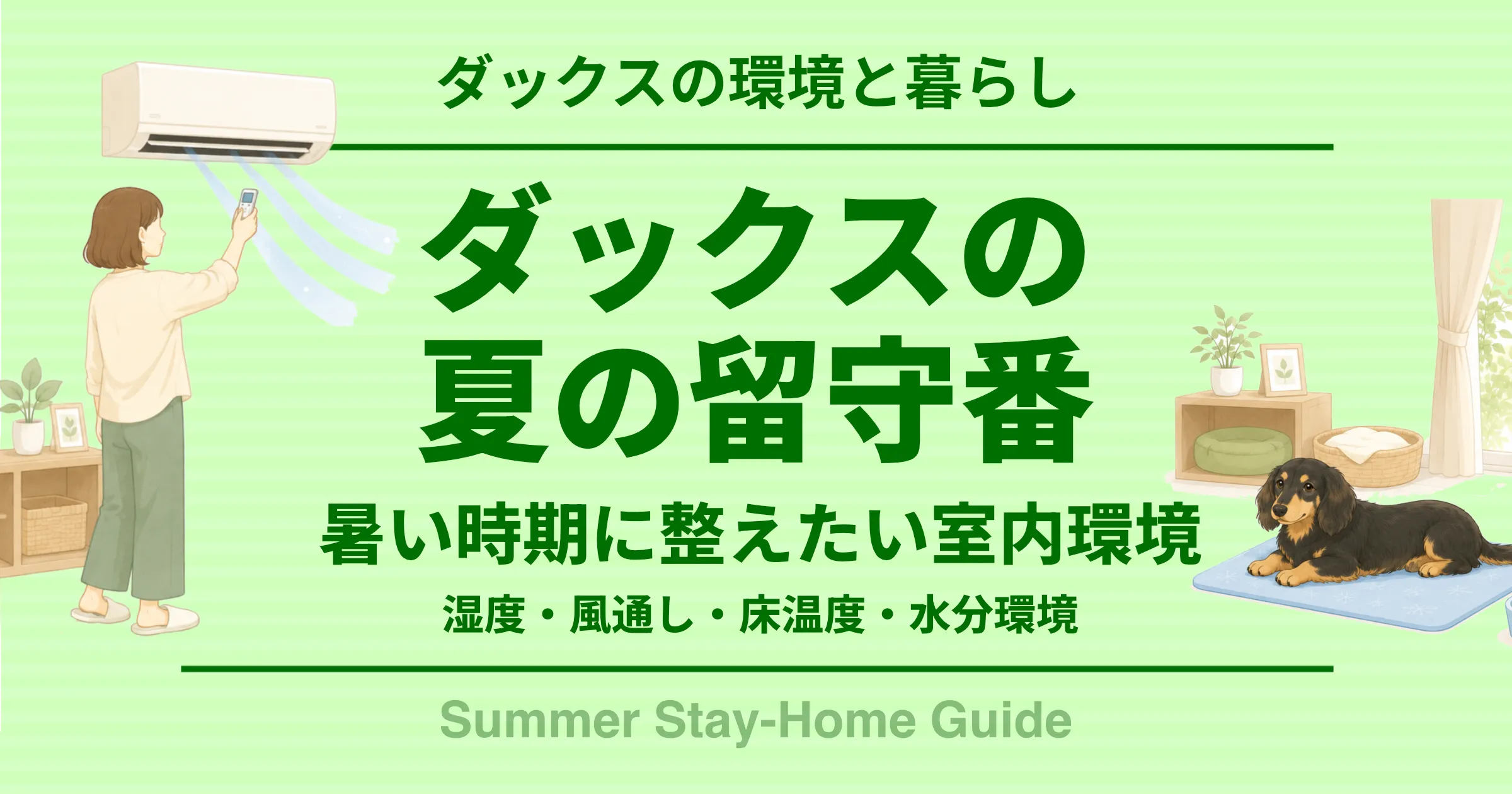 ダックスの夏の留守番