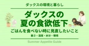 ダックスの夏の食欲低下