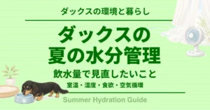 ダックスの夏の水分管理