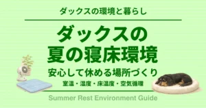 ダックスの夏の寝床環境