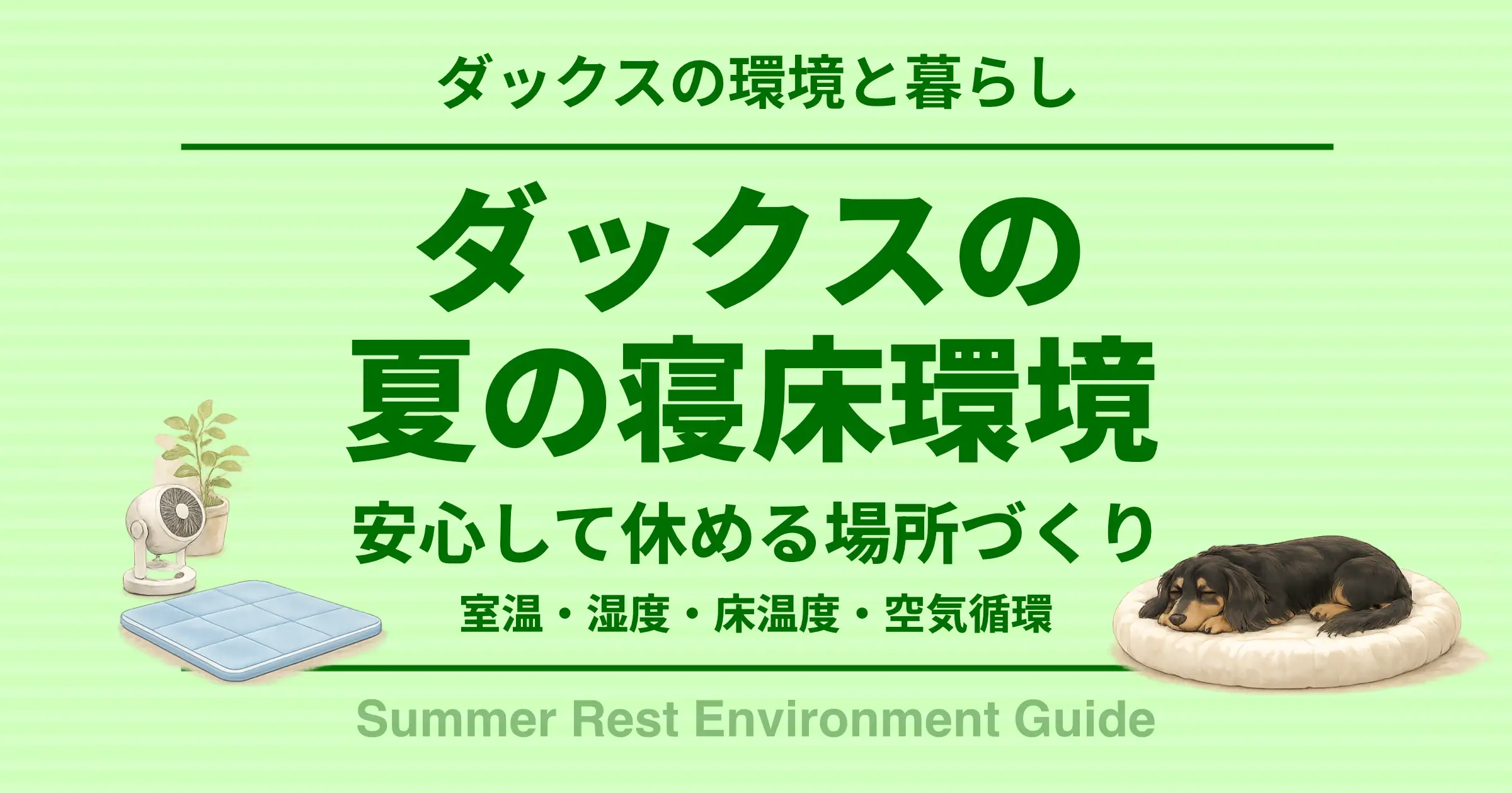 ダックスの夏の寝床環境