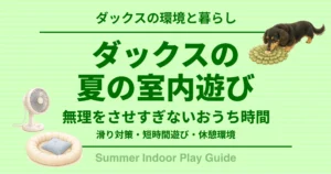 ダックスの夏の室内遊び