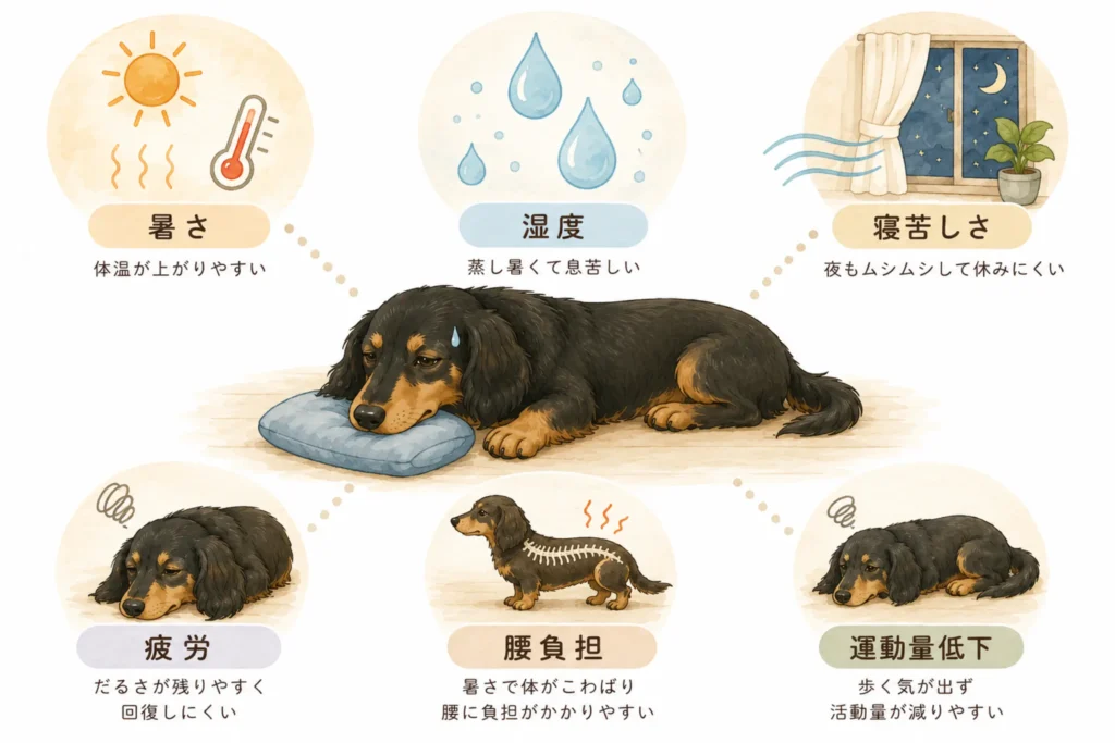 室内遊びで注意すべきポイント図