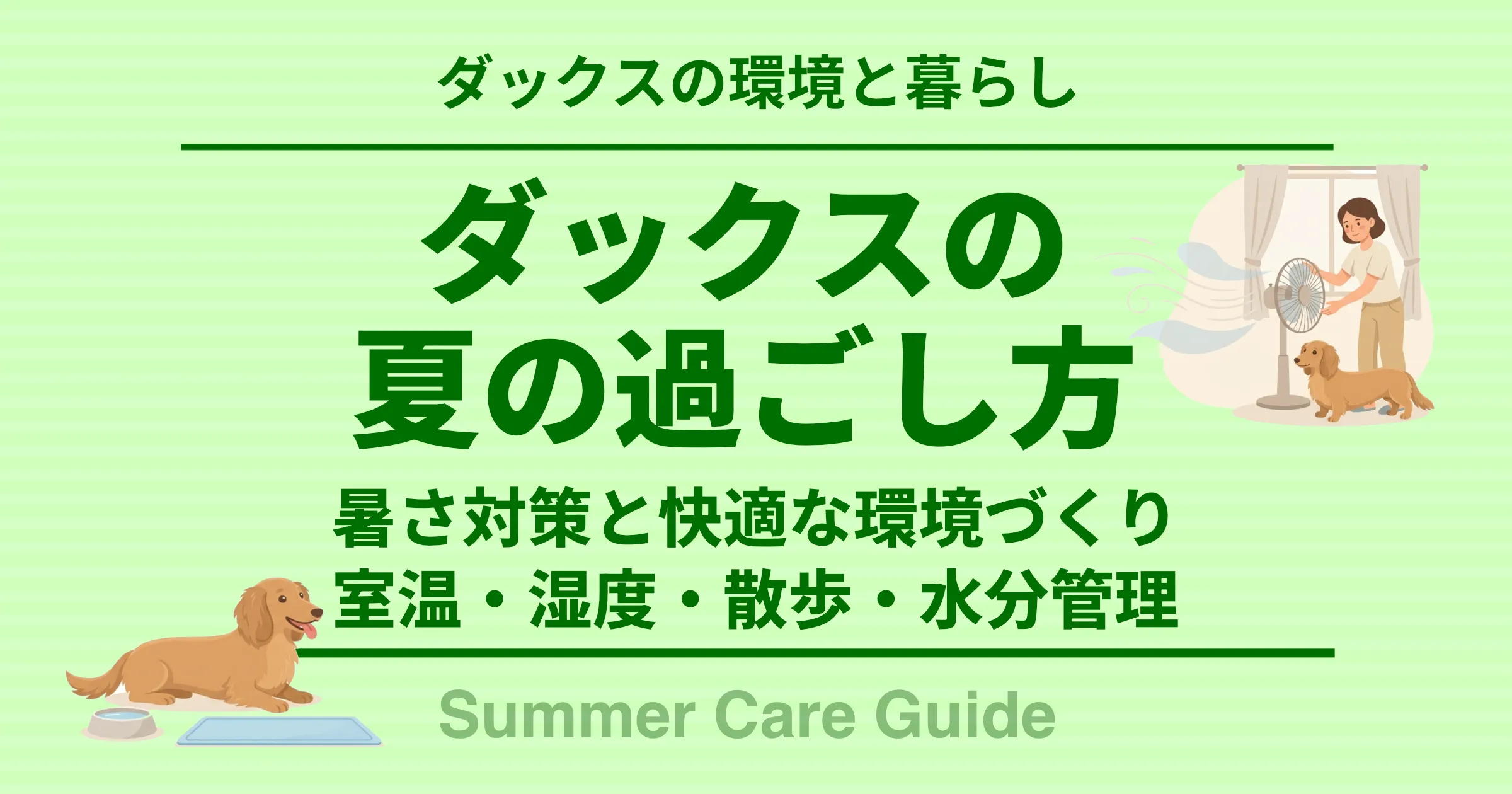 ダックスの夏の過ごし方