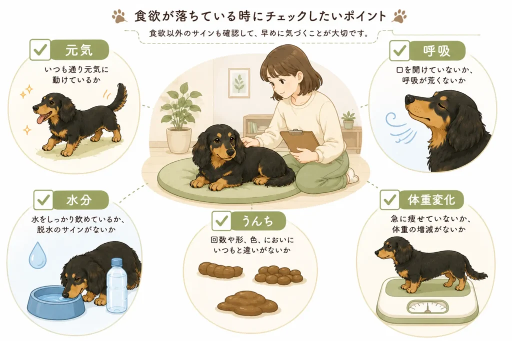 食欲が落ちている時にチェックしたいポイント