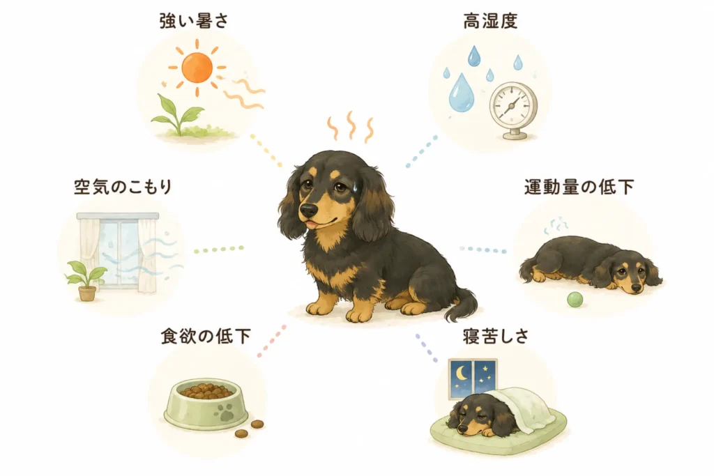 夏に水分不足になりやすい原因図