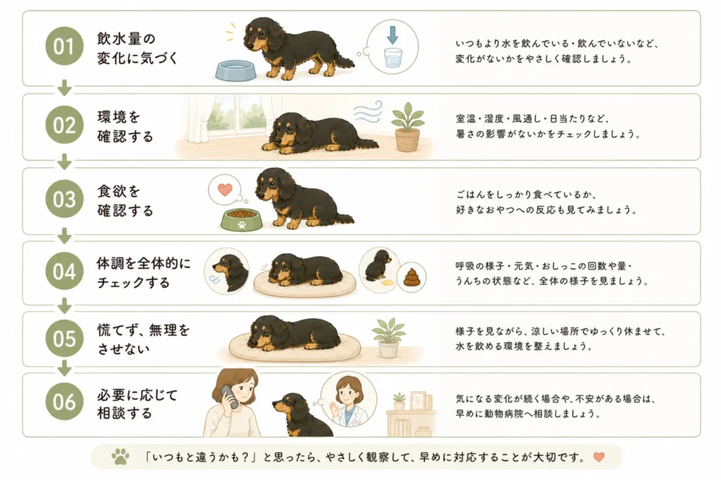 夏の水分管理の考え方図