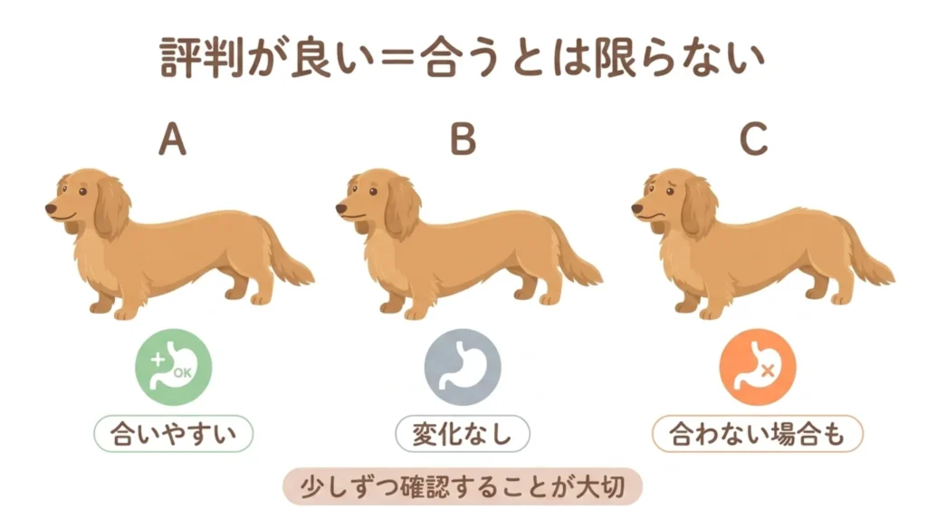 個体差イメージ図解