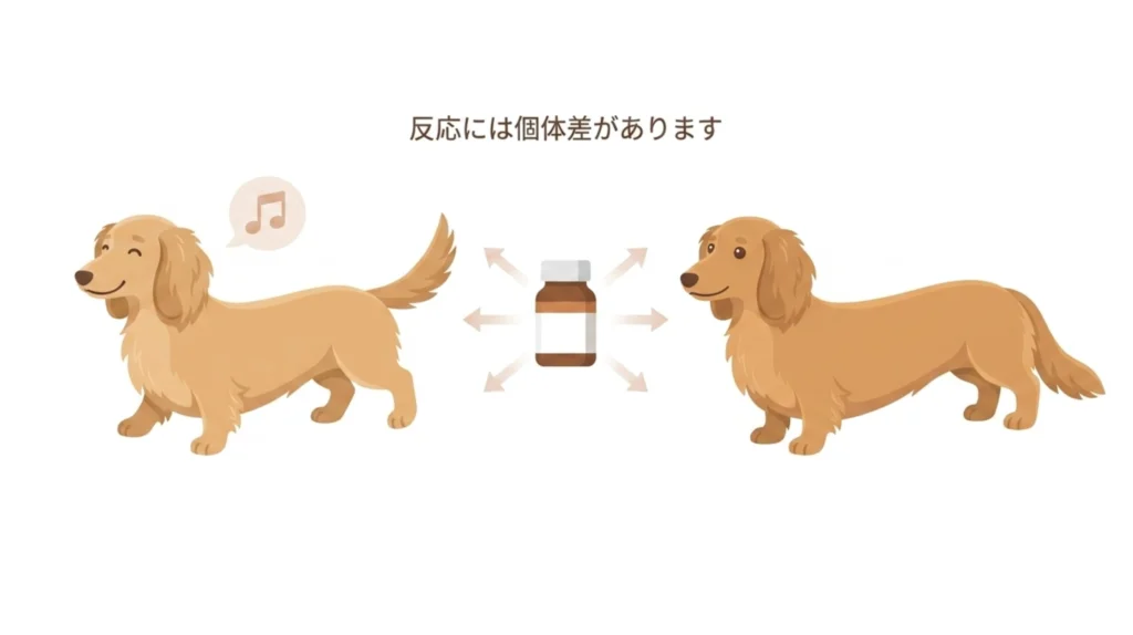 個体差イメージ図解