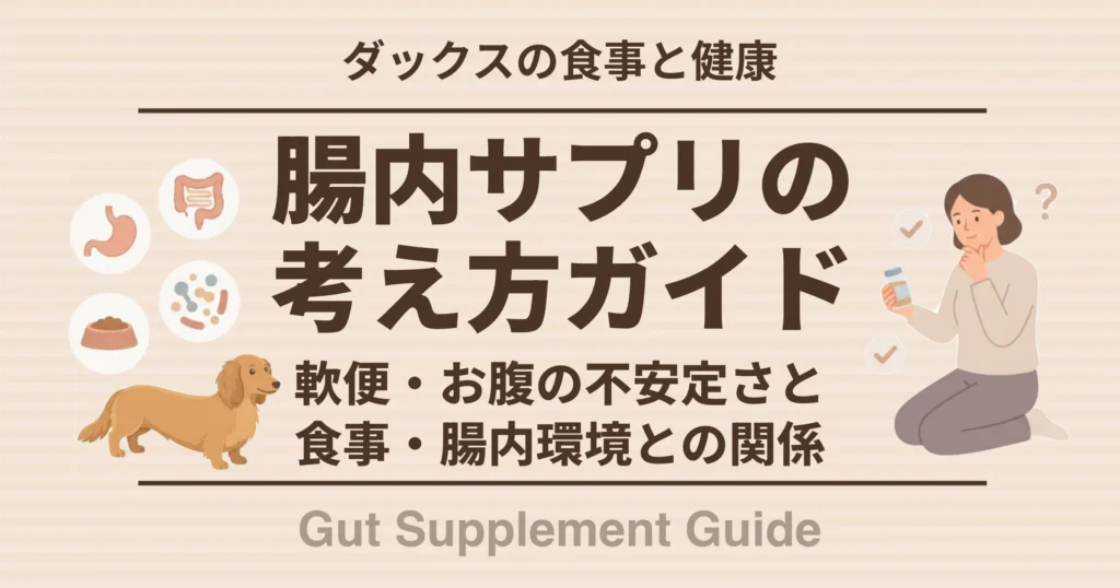 腸内サプリの考え方ガイド