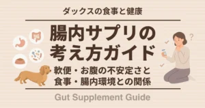 腸内サプリの考え方ガイド