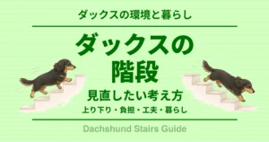 ダックスの階段 見直したい考え方