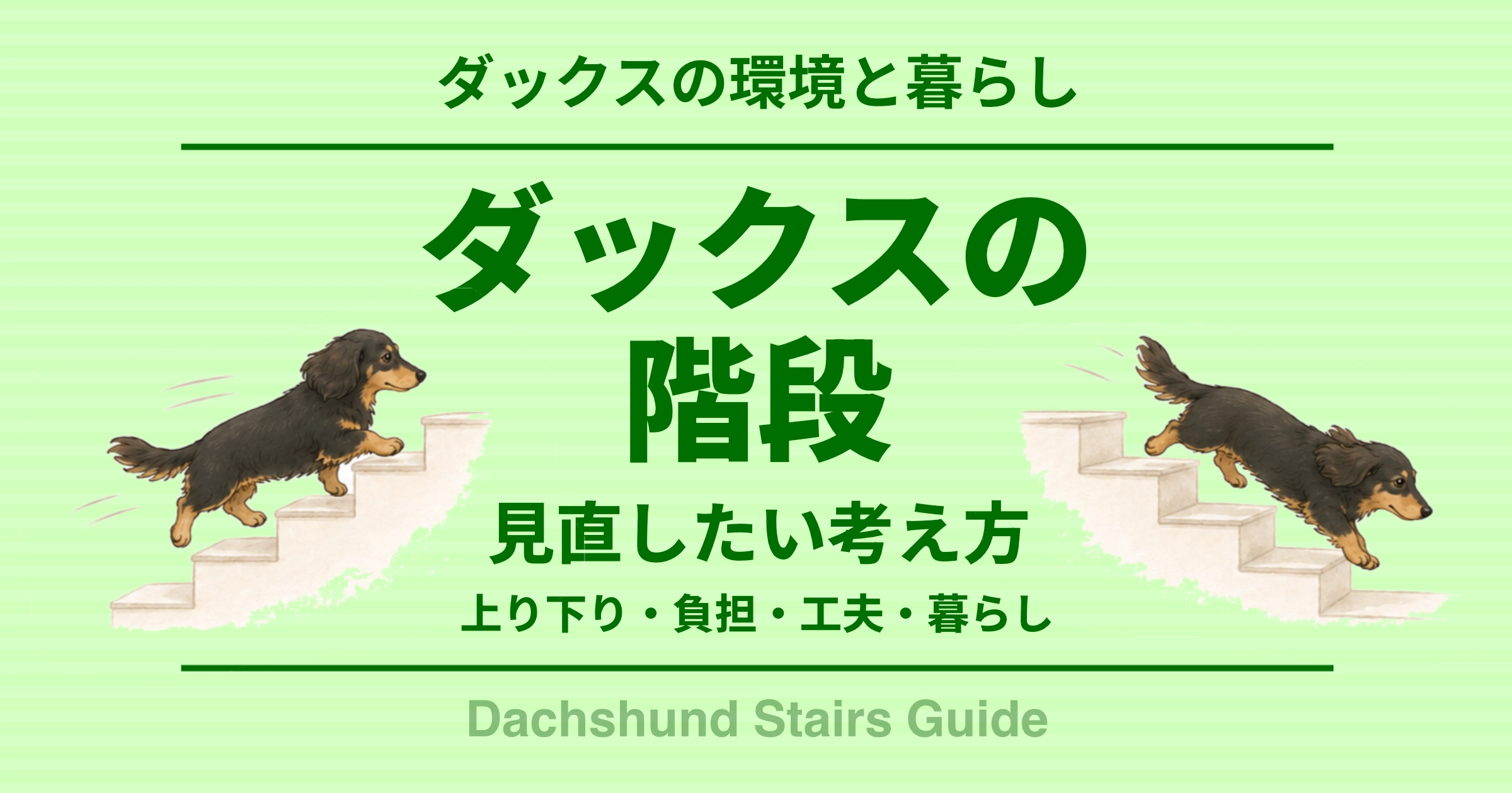 ダックスの階段 見直したい考え方