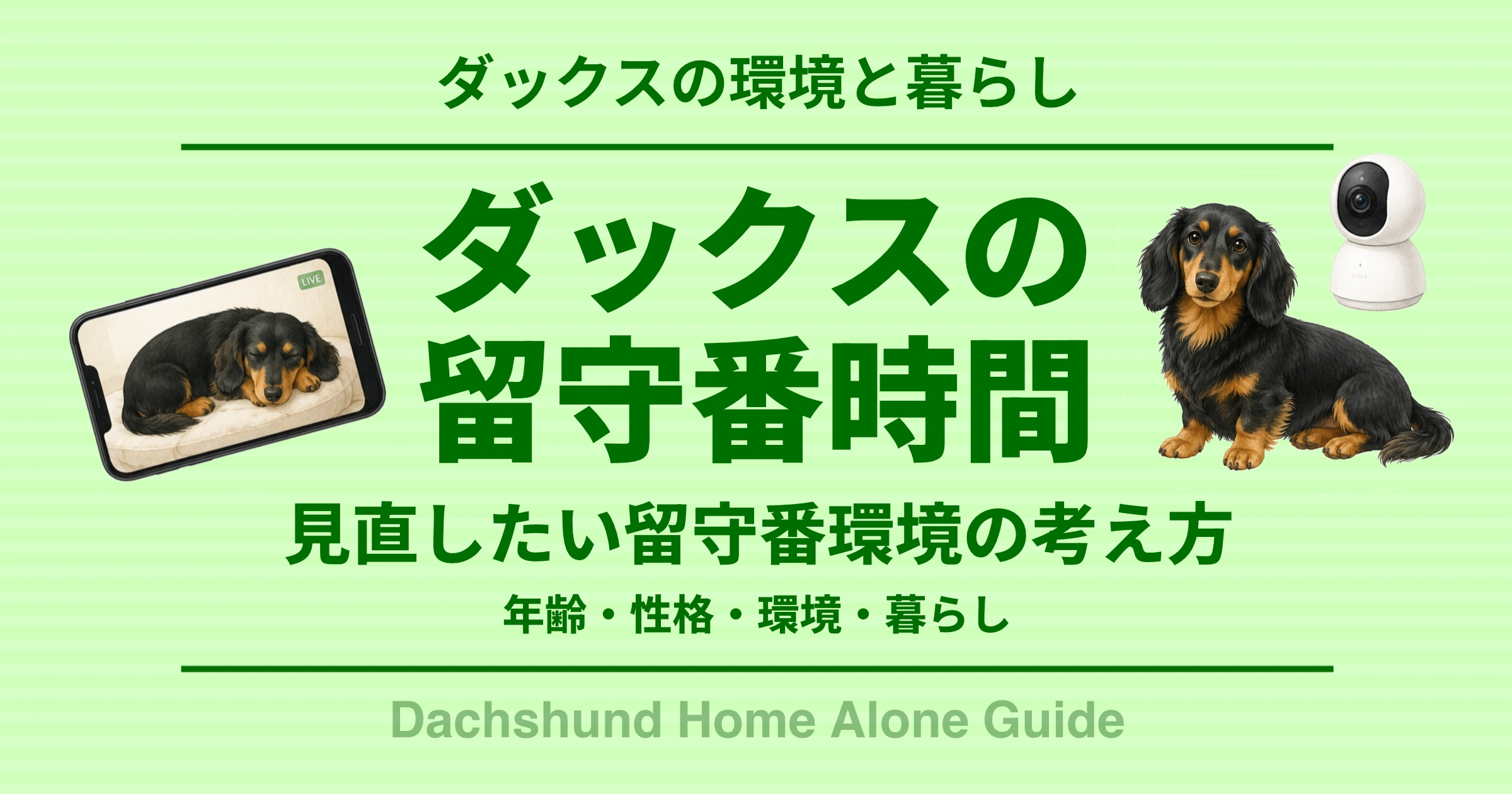 ダックスの留守番時間
