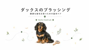 ブラッシングされて気持ちよさそうにしているロングヘアードダックスフンドと、やさしくブラシをかける飼い主を描いたアイキャッチイラスト。