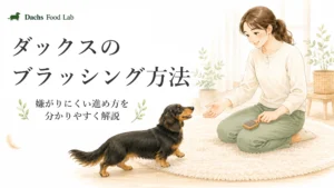 ダックスのブラッシング方法｜嫌がりにくい進め方を分かりやすく解説
