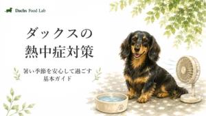 ダックスの熱中症対策を紹介する記事アイキャッチ。夏のやさしい雰囲気の中で、暑さへの配慮や水分補給をイメージしたモチーフと落ち着いた表情のダックスを描いたイラスト。