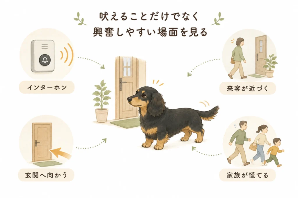 来客時に興奮しやすい場面