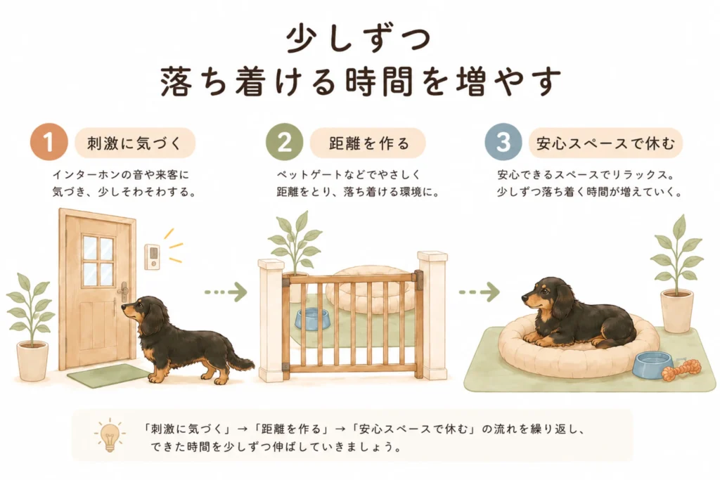 少しずつ落ち着いて過ごせる環境を整える流れ