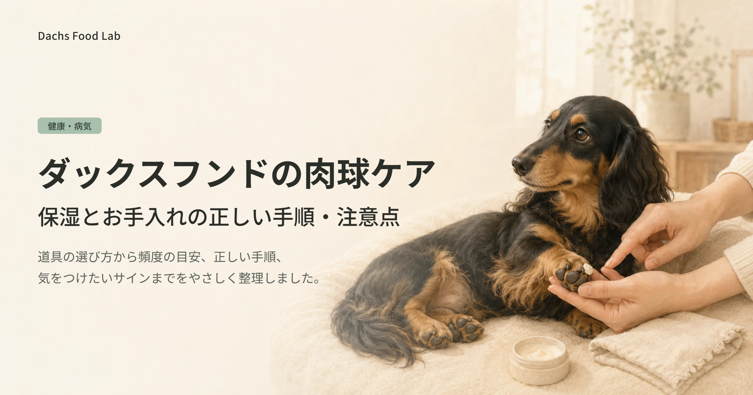 ダックスフンドの肉球ケアのやり方を紹介する記事のアイキャッチ画像