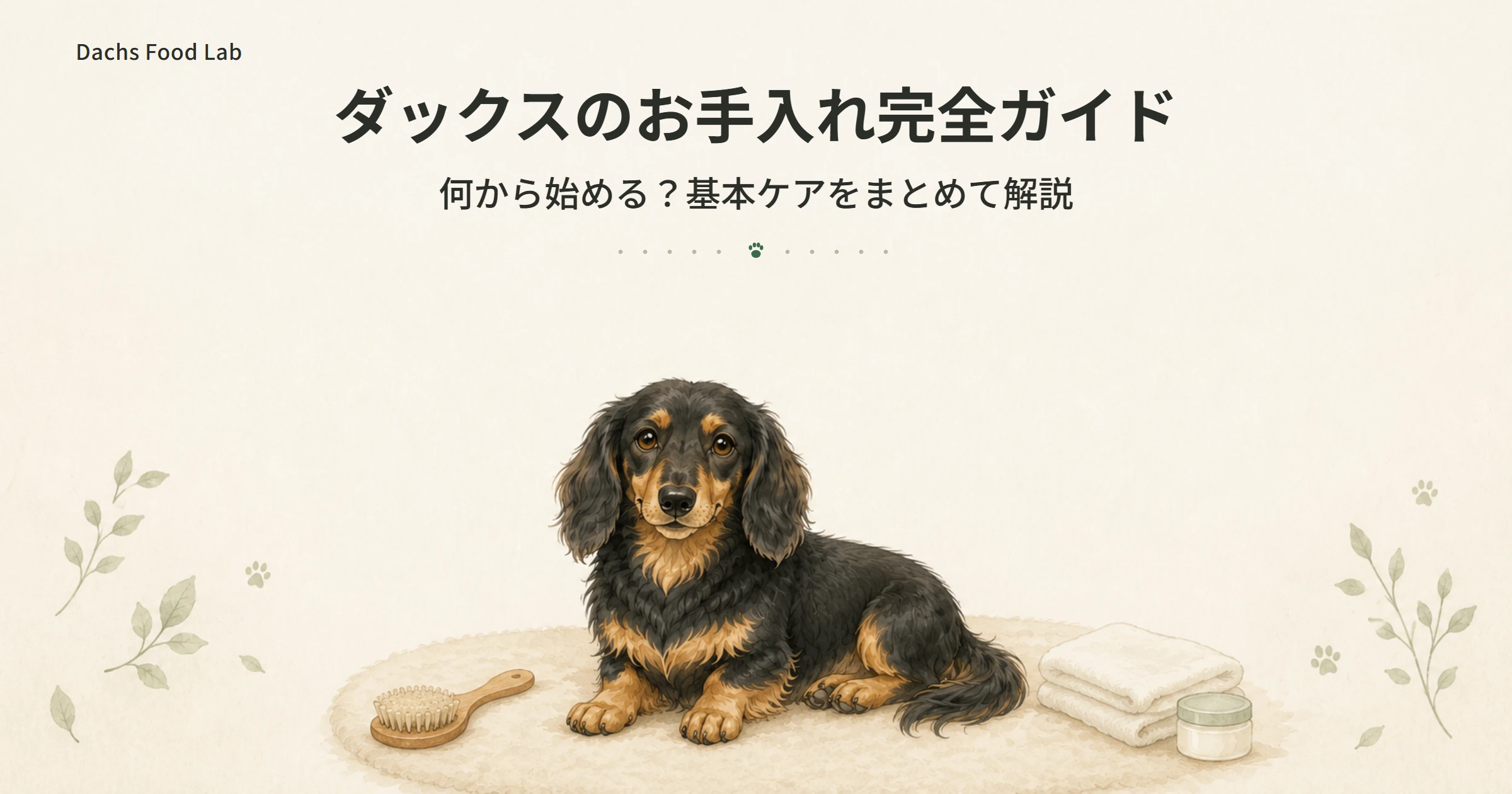ダックスのお手入れ全体を紹介する記事のアイキャッチ画像