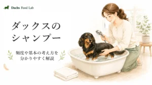 ダックスのシャンプーの基本や頻度の考え方を分かりやすく解説するアイキャッチ画像