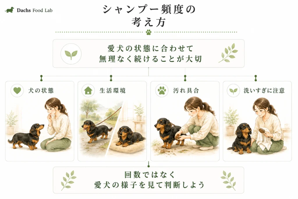ダックスのシャンプー頻度の考え方（犬の状態・生活環境・汚れ具合・洗いすぎへの注意）をまとめた図解