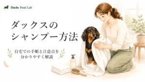 ダックスのシャンプー方法｜自宅での手順と注意点を分かりやすく解説