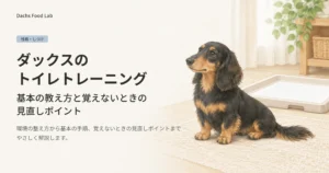 ダックスのトイレトレーニングを紹介する記事のアイキャッチ画像