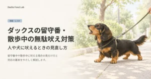 ダックスの留守番・散歩中の無駄吠え対策を紹介する記事のアイキャッチ画像