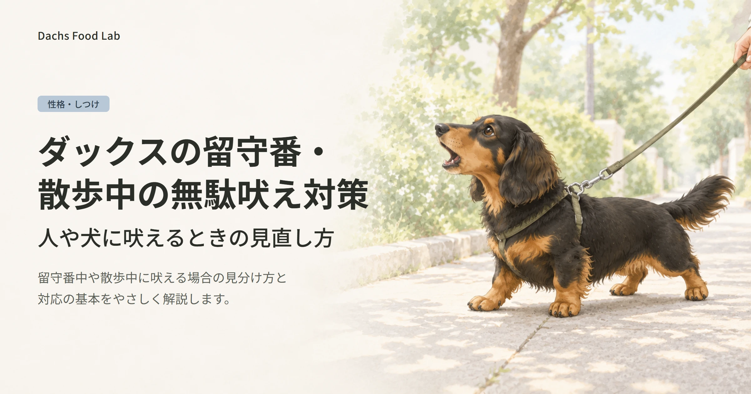 ダックスの留守番・散歩中の無駄吠え対策を紹介する記事のアイキャッチ画像