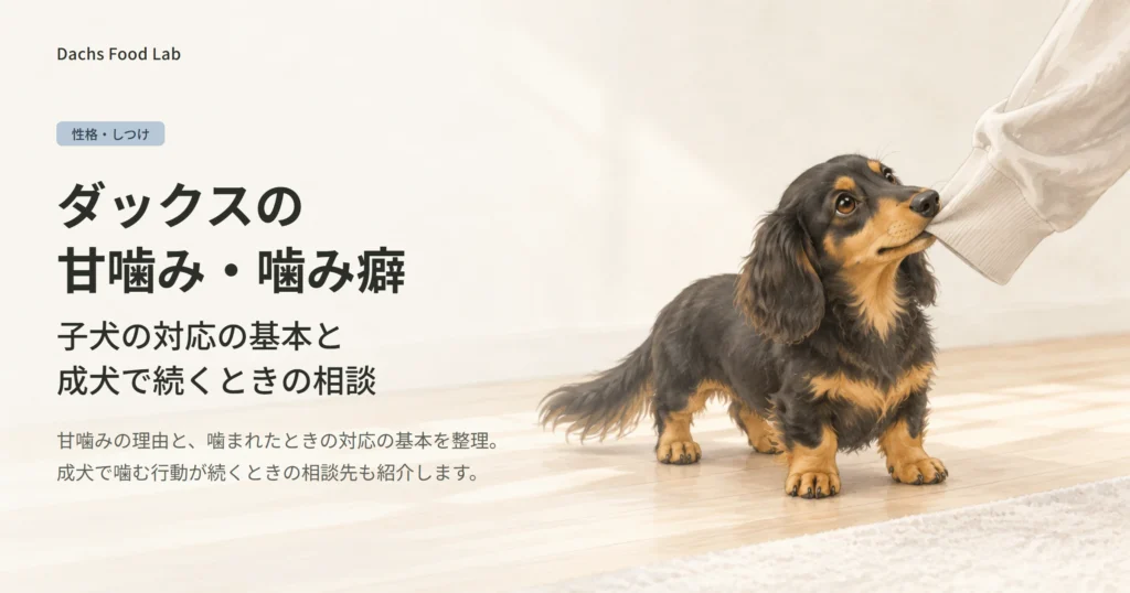 子犬のダックスフンドが、飼い主の袖口を軽く甘噛みしている様子を描いた、ダックスの甘噛み・噛み癖の記事のアイキャッチ画像